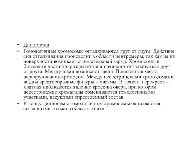 Диплонема Гомологичные хромосомы отталкиваются друг от друга. Действие сил отталкивания