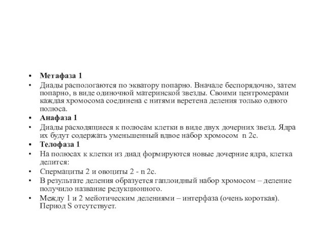 Метафаза 1 Диады распологаются по экватору попарно. Вначале беспорядочно, затем