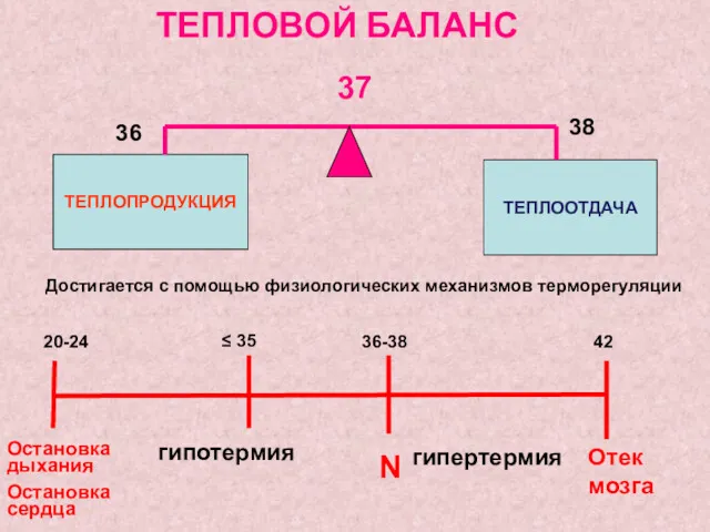 ТЕПЛОВОЙ БАЛАНС ТЕПЛОПРОДУКЦИЯ ТЕПЛООТДАЧА 36 37 38 Достигается с помощью