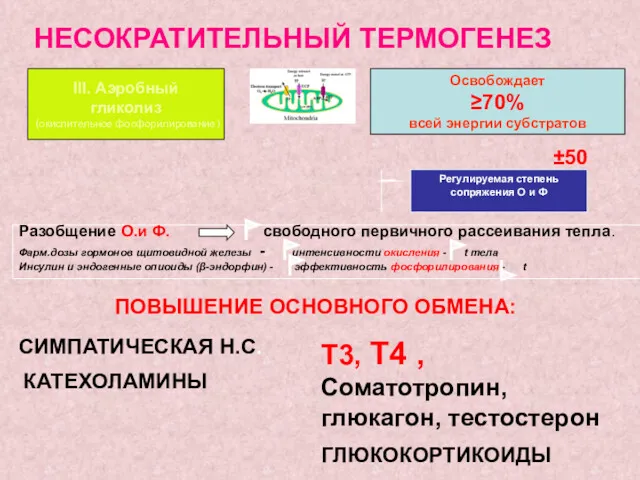 III. Аэробный гликолиз (окислительное фосфорилирование) Освобождает ≥70% всей энергии субстратов