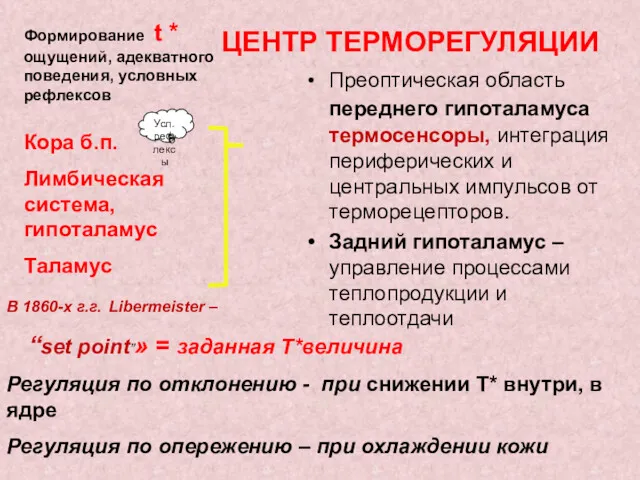 ЦЕНТР ТЕРМОРЕГУЛЯЦИИ Кора б.п. Лимбическая система, гипоталамус Таламус Формирование t