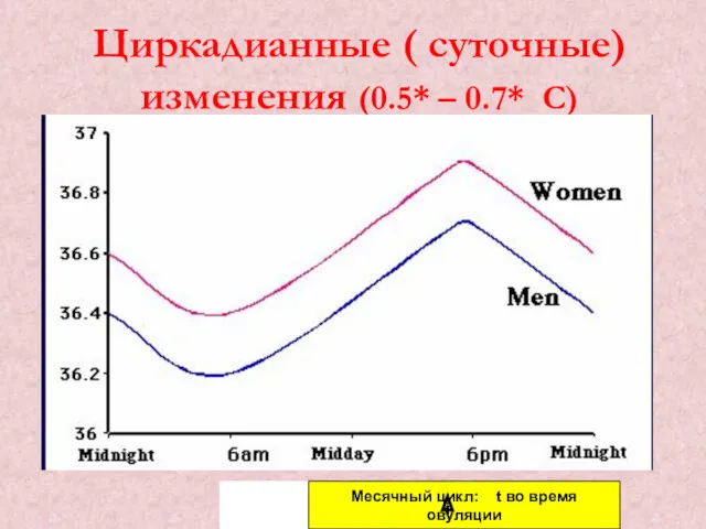 Циркадианные ( суточные) изменения (0.5* – 0.7* С) Месячный цикл: t во время овуляции