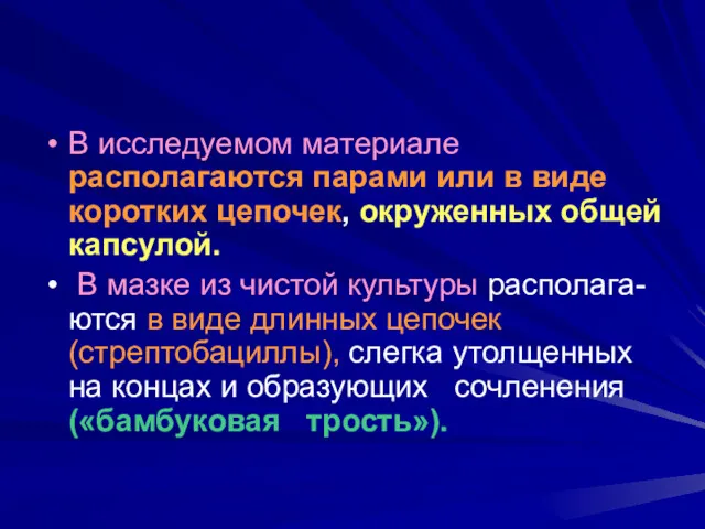 В исследуемом материале располагаются парами или в виде коротких цепочек,