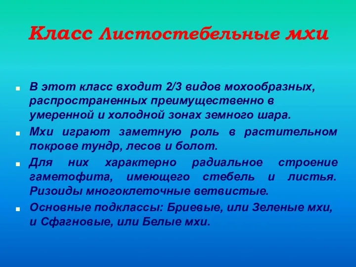 Класс Листостебельные мхи В этот класс входит 2/3 видов мохообразных,