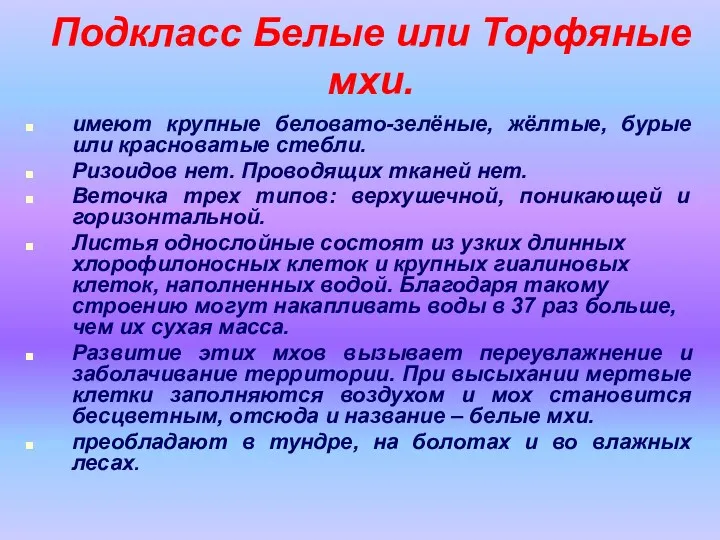 Подкласс Белые или Торфяные мхи. имеют крупные беловато-зелёные, жёлтые, бурые