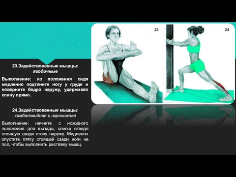 23.Задействованные мышцы: ягодичные Выполнение: из положения сидя медленно подтяните ногу