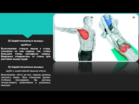 29.Задействованные мышцы: грудные Выполнение: станьте лицом к стене, положите на