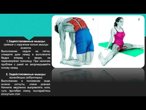1.Задействованные мышцы: прямые и наружные косые мышцы живота. Выполнение: сядьте