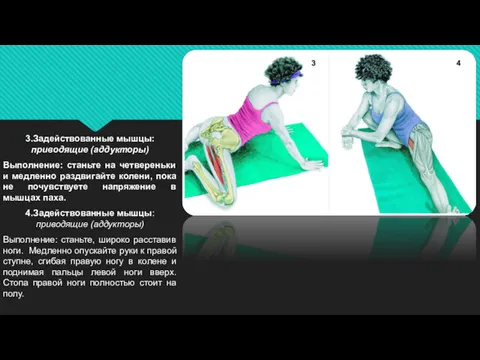 3.Задействованные мышцы: приводящие (аддукторы) Выполнение: станьте на четвереньки и медленно