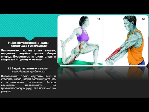 11.Задействованные мышцы: поясничная и квадрицепс Выполнение: встаньте на колено, медленно