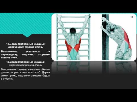 15.Задействованные мышцы: широчайшая мышца спины Выполнение: ухватитесь за перекладину, медленно