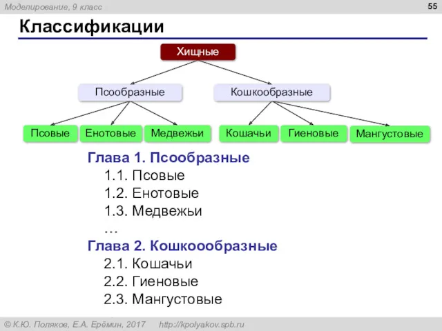 Классификации Глава 1. Псообразные 1.1. Псовые 1.2. Енотовые 1.3. Медвежьи