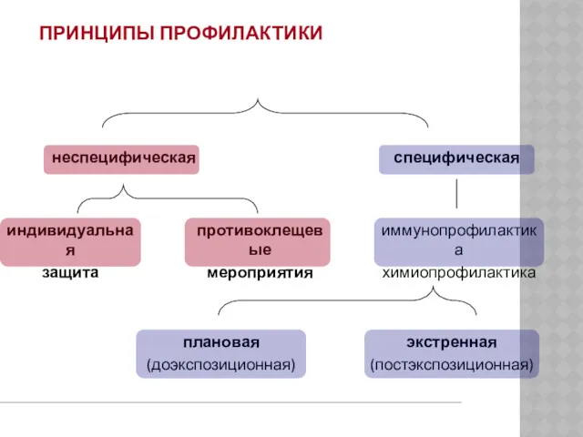 ПРИНЦИПЫ ПРОФИЛАКТИКИ неспецифическая специфическая индивидуальная защита противоклещевые мероприятия иммунопрофилактика химиопрофилактика плановая (доэкспозиционная) экстренная (постэкспозиционная)