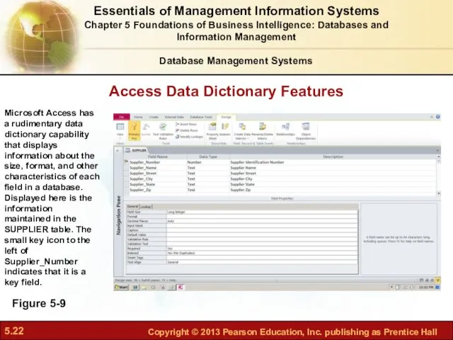 Access Data Dictionary Features Figure 5-9 Microsoft Access has a
