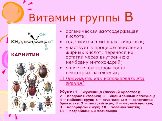 Витамин группы В органическая азотсодержащая кислота; содержится в мышцах животных;