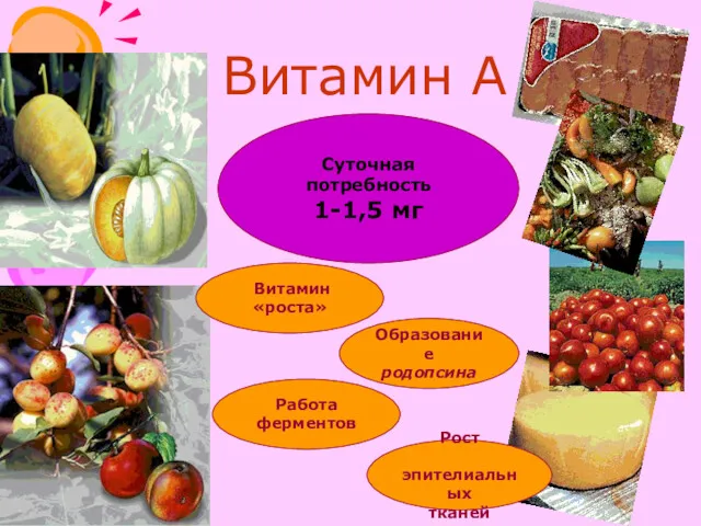 Витамин А Суточная потребность 1-1,5 мг Образование родопсина Работа ферментов Рост эпителиальных тканей Витамин «роста»