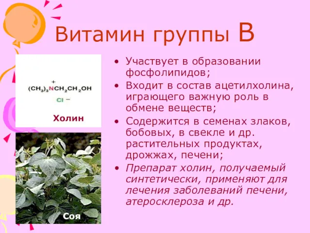 Витамин группы В Участвует в образовании фосфолипидов; Входит в состав