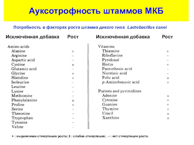 Исключённая добавка Рост Исключённая добавка Рост Ауксотрофность штаммов МКБ Потребность