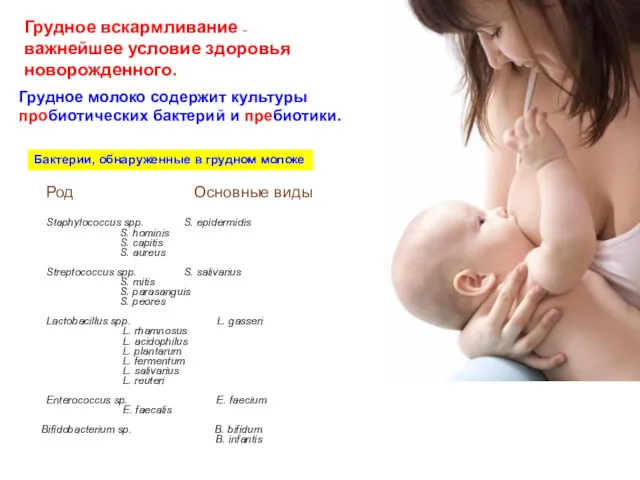 Грудное вскармливание – важнейшее условие здоровья новорожденного. Грудное молоко содержит