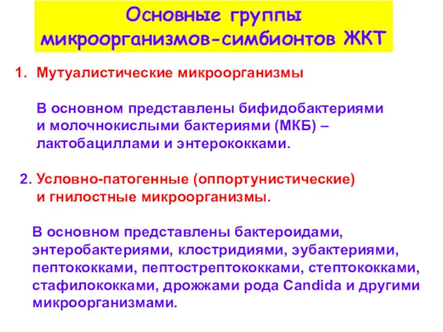 Основные группы микроорганизмов-симбионтов ЖКТ Мутуалистические микроорганизмы В основном представлены бифидобактериями