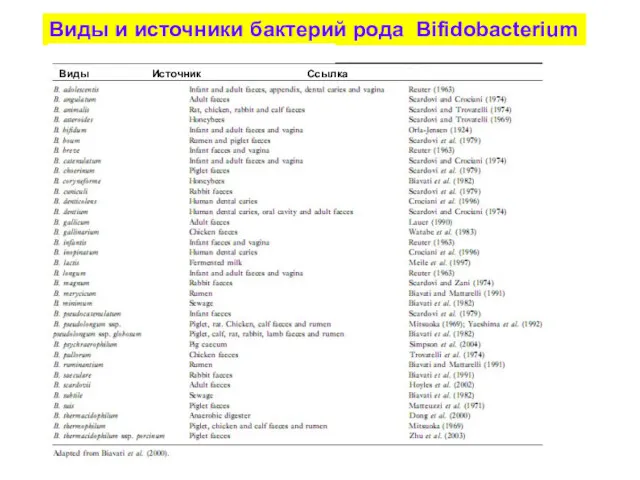 Виды и источники бактерий рода Bifidobacterium Виды Источник Ссылка