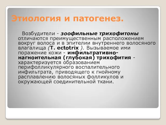 Этиология и патогенез. Возбудители - зоофильные трихофитоны отличаются преимущественным расположением