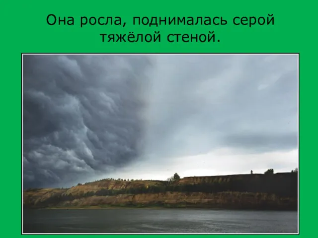 Она росла, поднималась серой тяжёлой стеной.