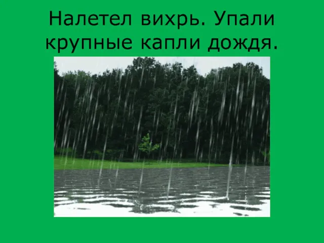 Налетел вихрь. Упали крупные капли дождя.