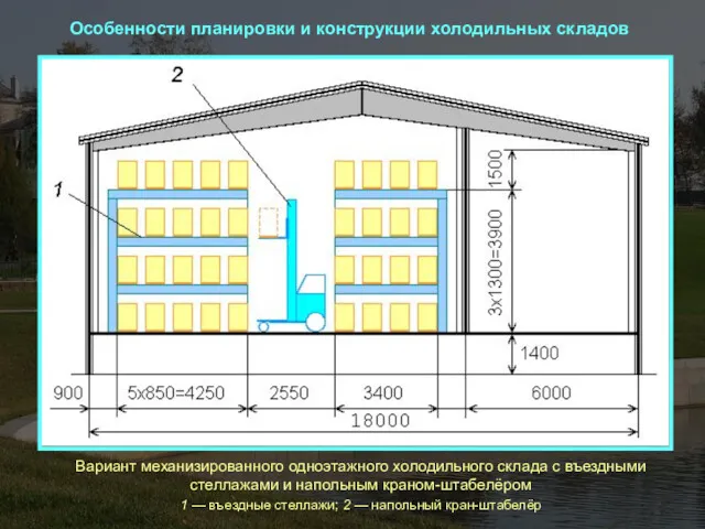 Особенности планировки и конструкции холодильных складов Вариант механизированного одноэтажного холодильного склада с въездными