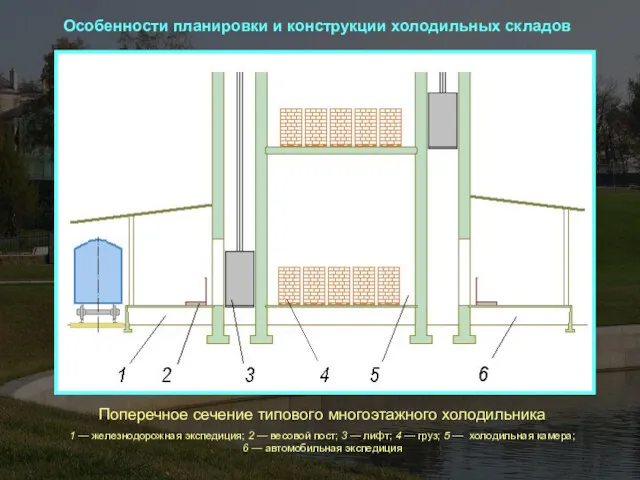 Особенности планировки и конструкции холодильных складов Поперечное сечение типового многоэтажного холодильника 1 —