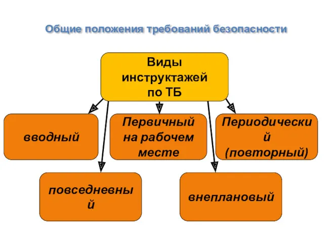 Общие положения требований безопасности Виды инструктажей по ТБ Первичный на