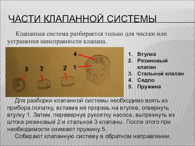 ЧАСТИ КЛАПАННОЙ СИСТЕМЫ Клапанная система разбирается только для чистки или