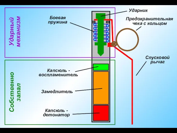 Боевая пружина Спусковой рычаг Ударник Замедлитель Капсюль -воспламенитель Капсюль -детонатор Собственно запал Ударный