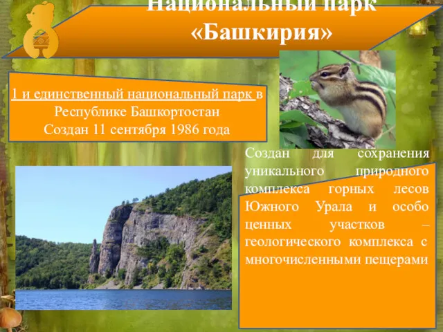 Национальный парк «Башкирия» 1 и единственный национальный парк в Республике