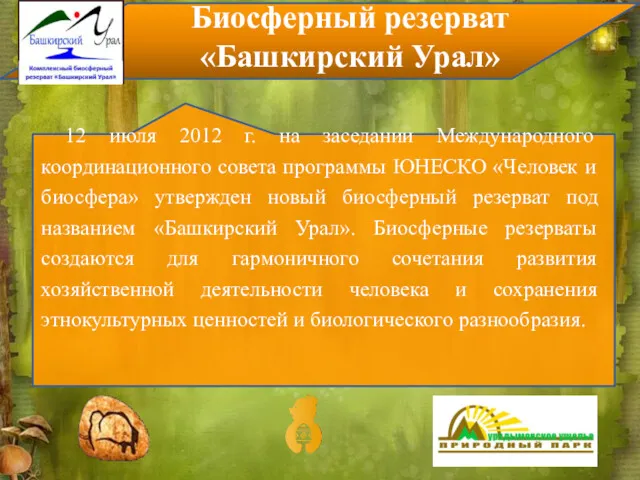 12 июля 2012 г. на заседании Международного координационного совета программы