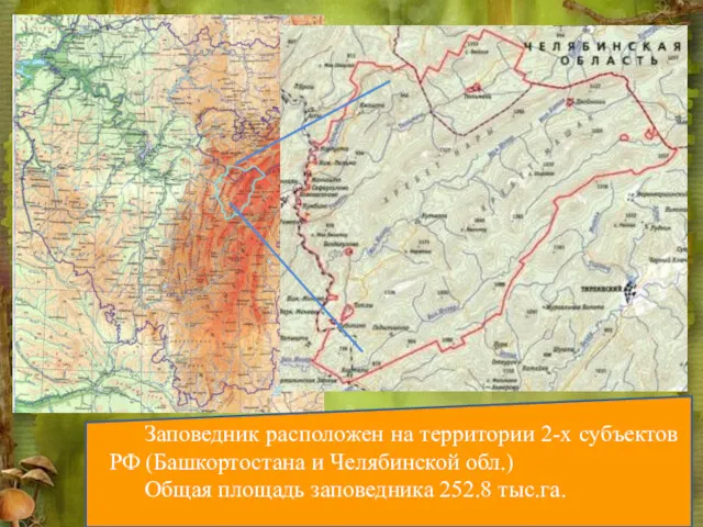 Заповедник расположен на территории 2-х субъектов РФ (Башкортостана и Челябинской обл.) Общая площадь заповедника 252.8 тыс.га.