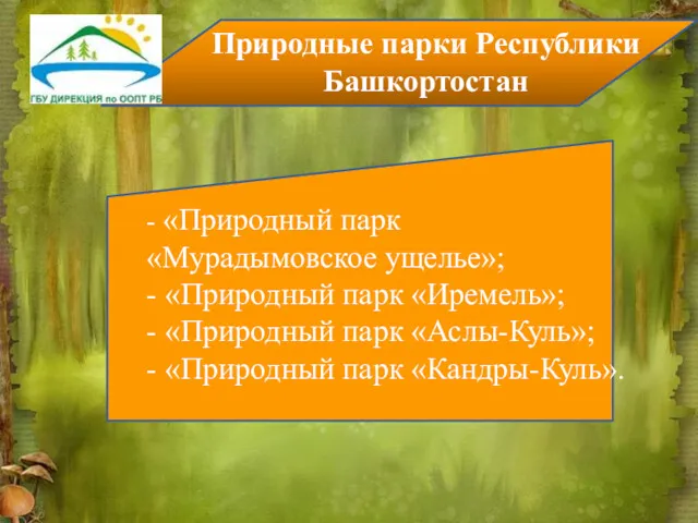 Природные парки Республики Башкортостан - «Природный парк «Мурадымовское ущелье»; -