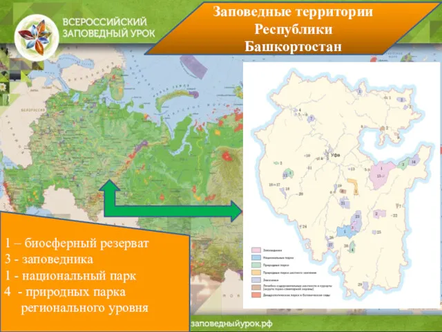 Заповедник Национальный парк Заказник Природный парк Памятник природы Основные категории