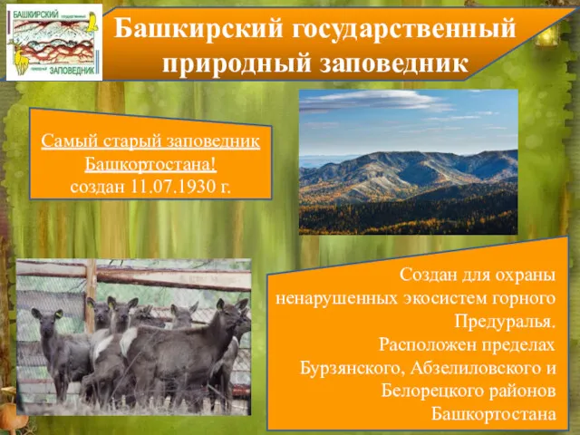 Самый старый заповедник Башкортостана! создан 11.07.1930 г. Создан для охраны