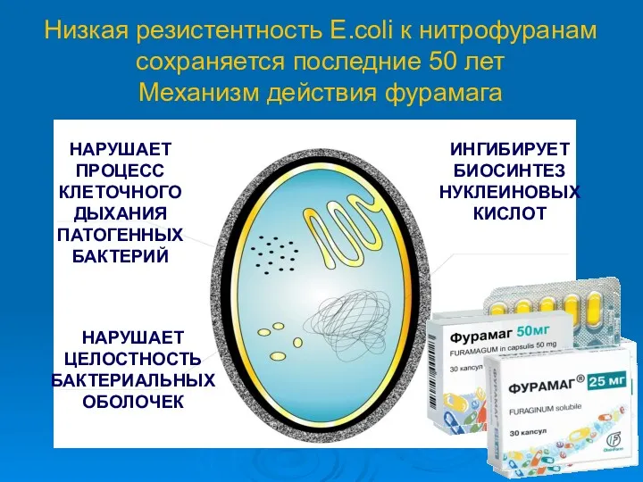 Низкая резистентность E.coli к нитрофуранам сохраняется последние 50 лет Механизм