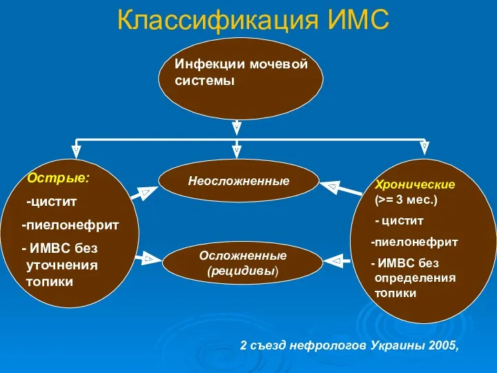 Классификация ИМС Неосложненные Инфекции мочевой системы Острые: -цистит пиелонефрит ИМВС