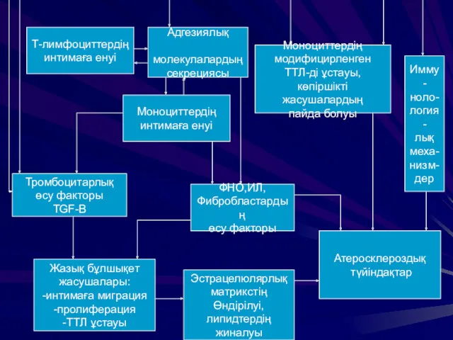 Т-лимфоциттердің интимаға енуі Адгезиялық молекулалардың секрециясы Моноциттердің интимаға енуі Тромбоцитарлық