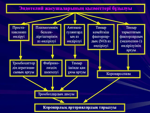 Проста-циклиназ өндіруі Плазмогеннің белсен-діргіштерінің аз өндірілуі Антикоа-гулянтардың аз өндірілуі Тамыр