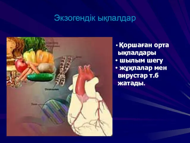 Экзогендік ықпалдар Қоршаған орта ықпалдары шылым шегу жұқпалар мен вирустар т.б жатады.