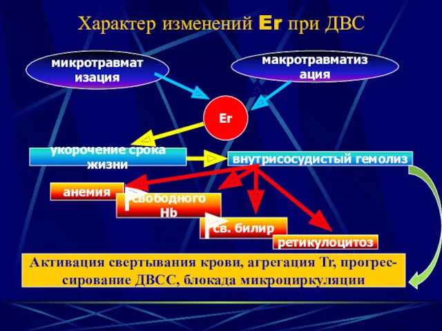 Характер изменений Er при ДВС Er микротравматизация макротравматизация укорочение срока