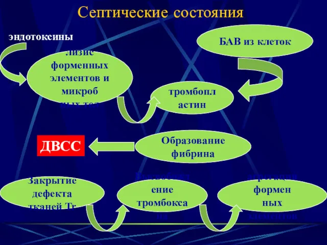 Септические состояния Образование фибрина лизис форменных элементов и микроб ных