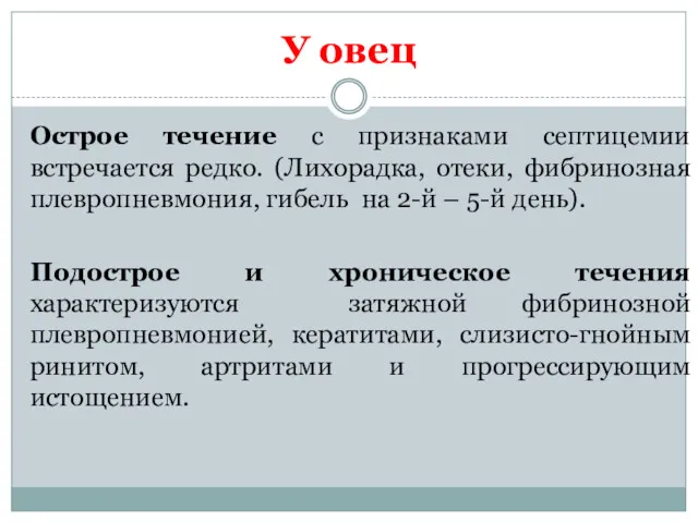 У овец Острое течение с признаками септицемии встречается редко. (Лихорадка,