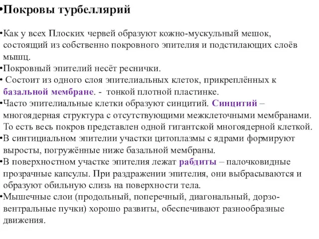 Покровы турбеллярий Как у всех Плоских червей образуют кожно-мускульный мешок,