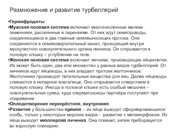 Размножение и развитие турбеллярий Гермафродиты. Мужская половая система включает многочисленные