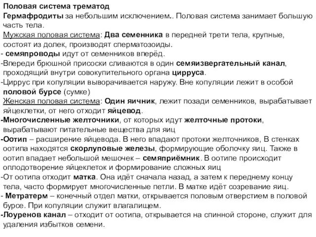 Половая система трематод Гермафродиты за небольшим исключением.. Половая система занимает